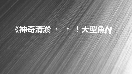 《神奇清淤！大型魚(yú)塘如何恢復(fù)清澈透明？》